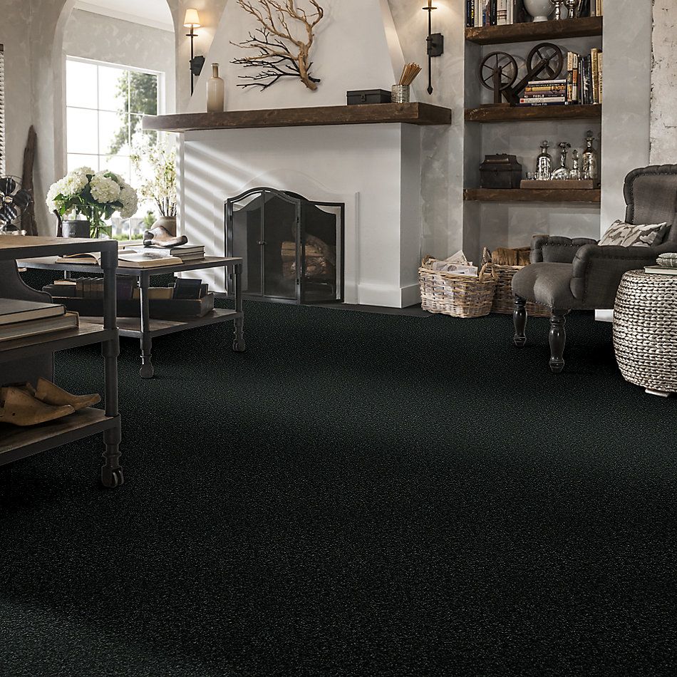 Shaw Floors Value Collections Passageway 1 12 Net Emerald 00308_E9152