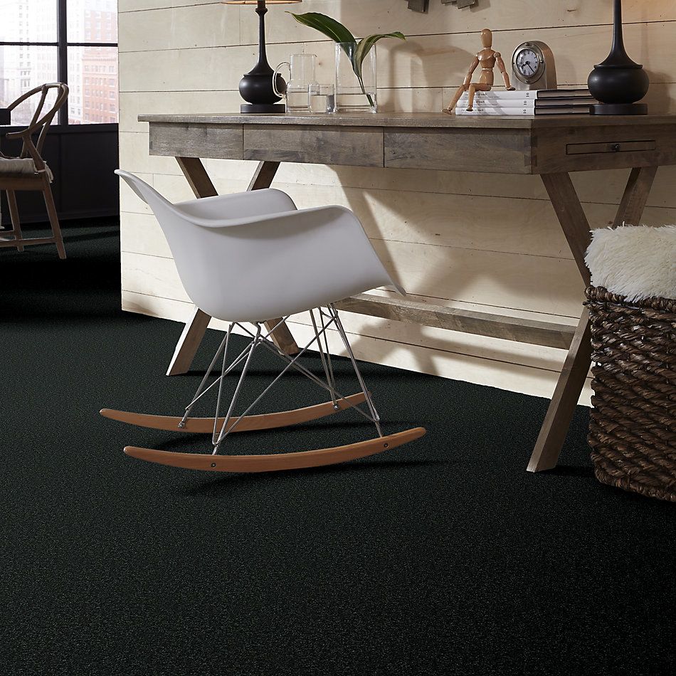 Shaw Floors Value Collections Passageway 1 12 Net Emerald 00308_E9152