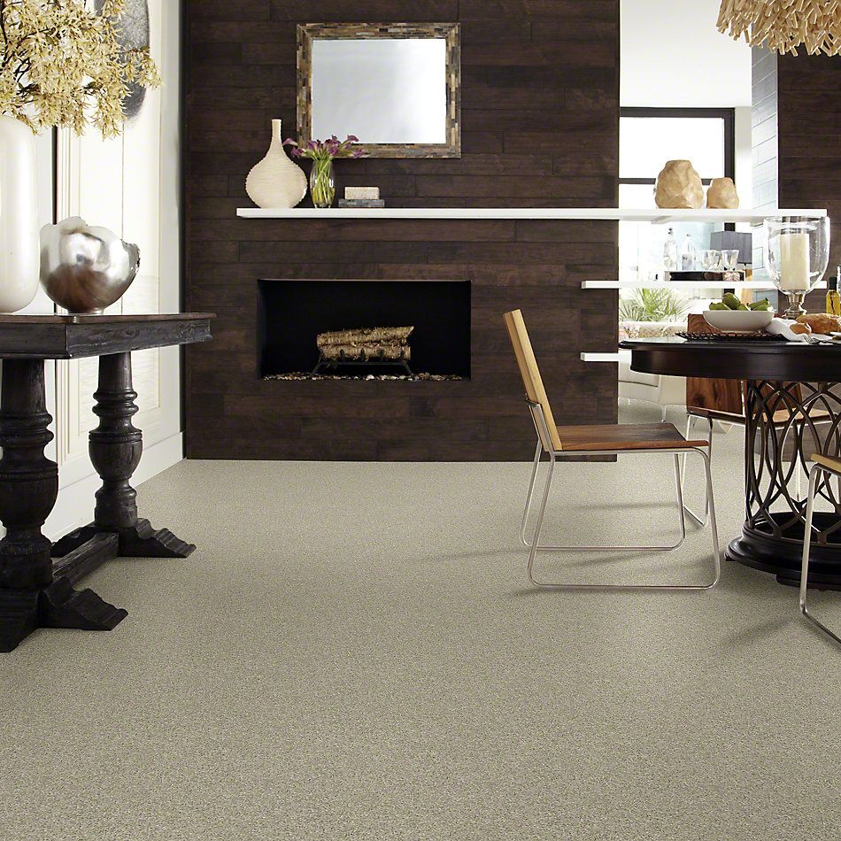 Shaw Floors Shaw Flooring Gallery Embark Haven 00309_5506G