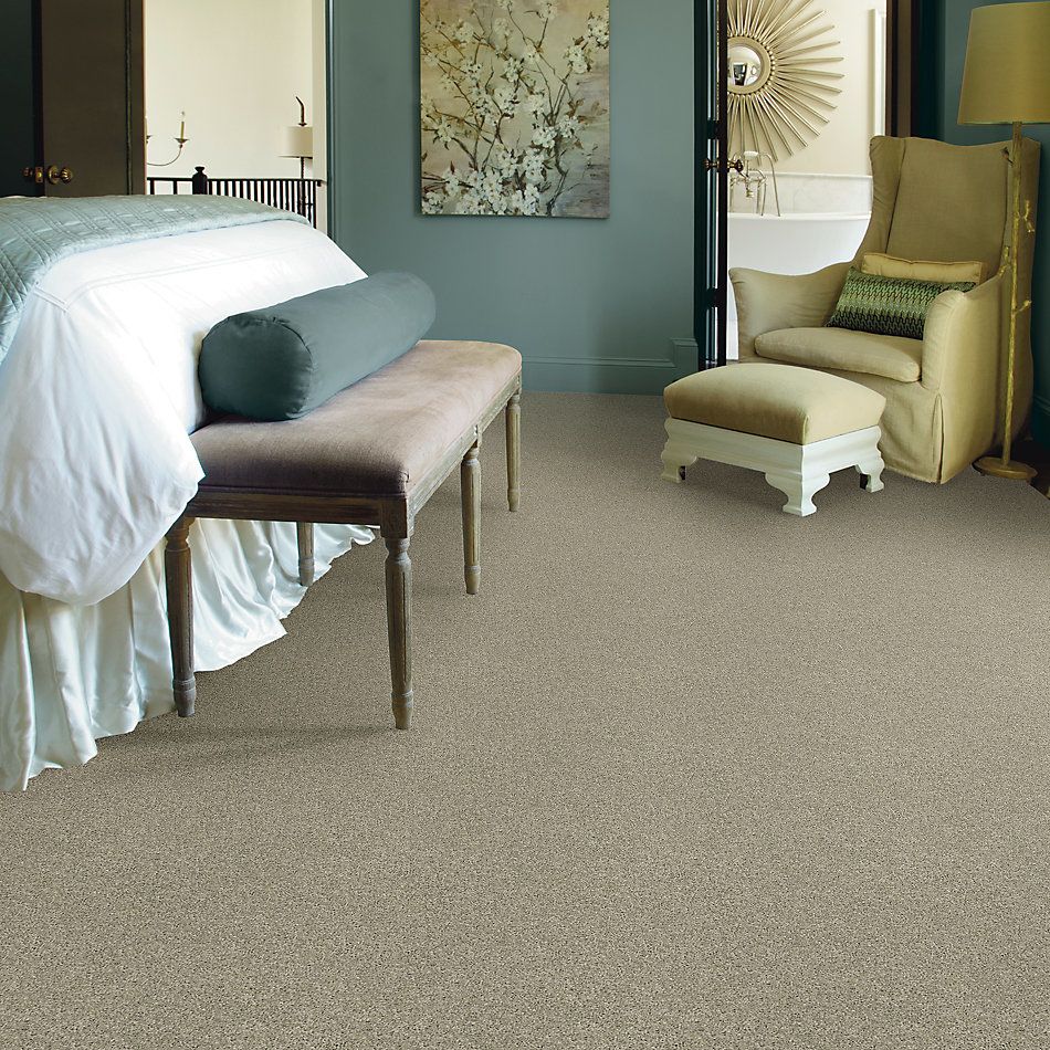 Shaw Floors Nfa/Apg Phenomenal Haven 00309_NA260