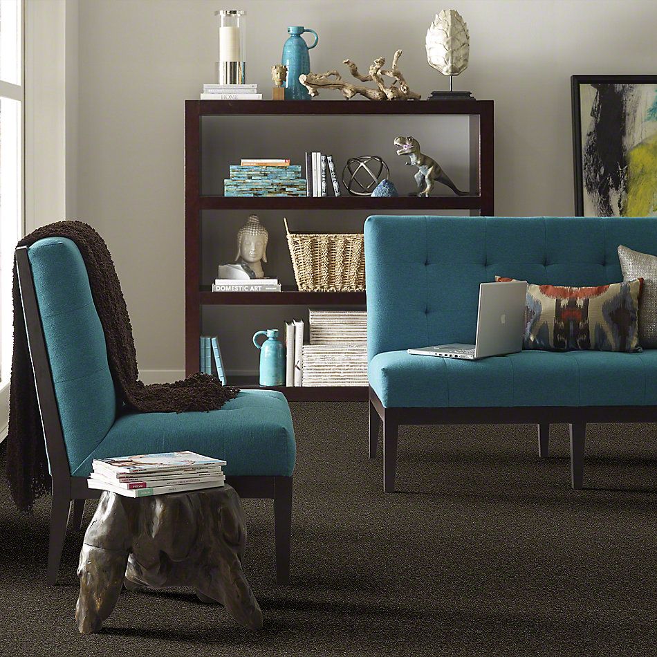 Shaw Floors Shaw Flooring Gallery Embark Garden Retreat 00311_5506G