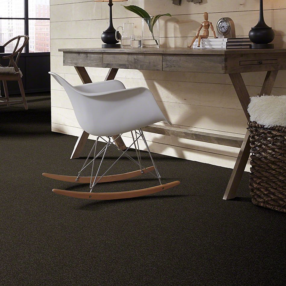 Shaw Floors Shaw Flooring Gallery Embark Garden Retreat 00311_5506G