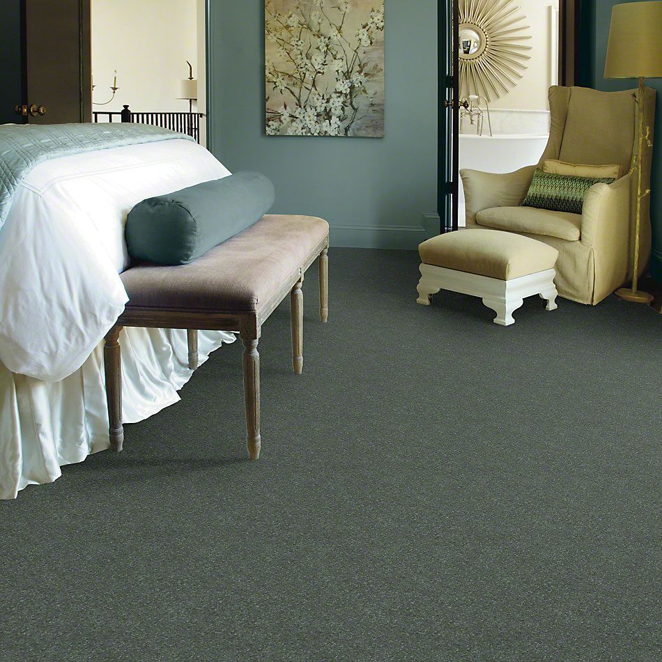Shaw Floors Roll Special Xv436 Spruce 00311_XV436