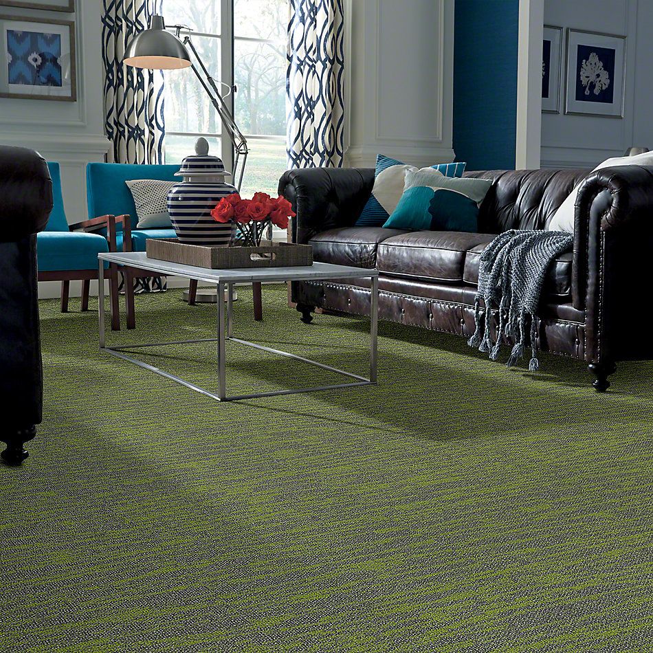 Philadelphia Commercial Modern Terrain Tidewater Taiga 00315_54849
