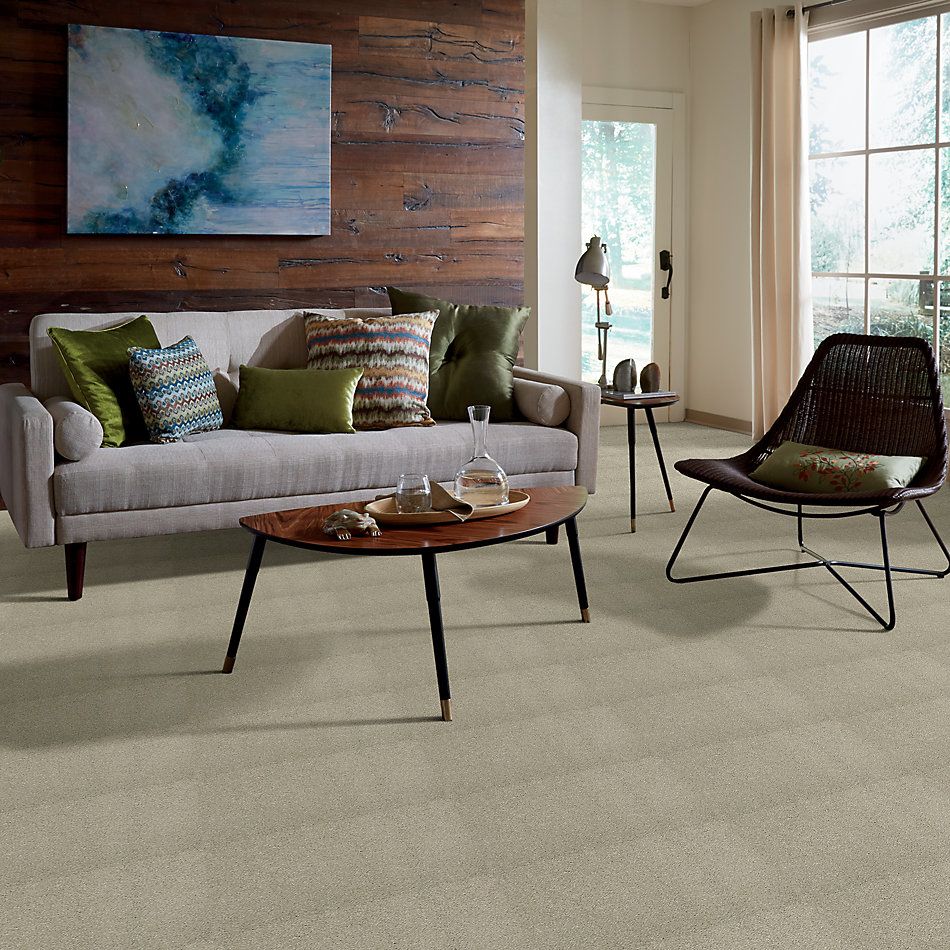 Shaw Floors Caress By Shaw Cashmere I Lg Spruce 00321_CC09B