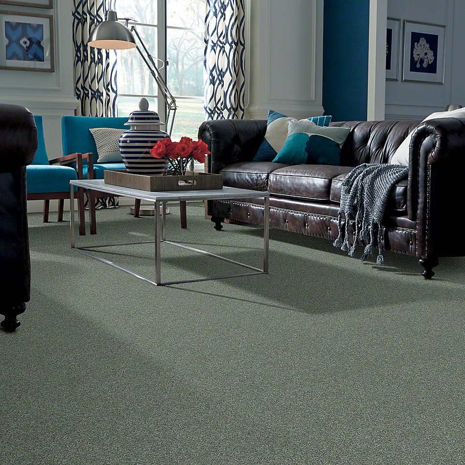 Shaw Floors Caress By Shaw Cashmere Classic I Jade 00323_CCS68