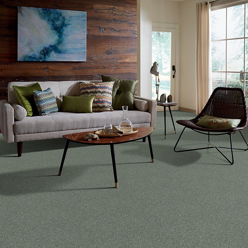 Shaw Floors Nfa/Apg Barracan Classic Iv Jade 00323_NA077