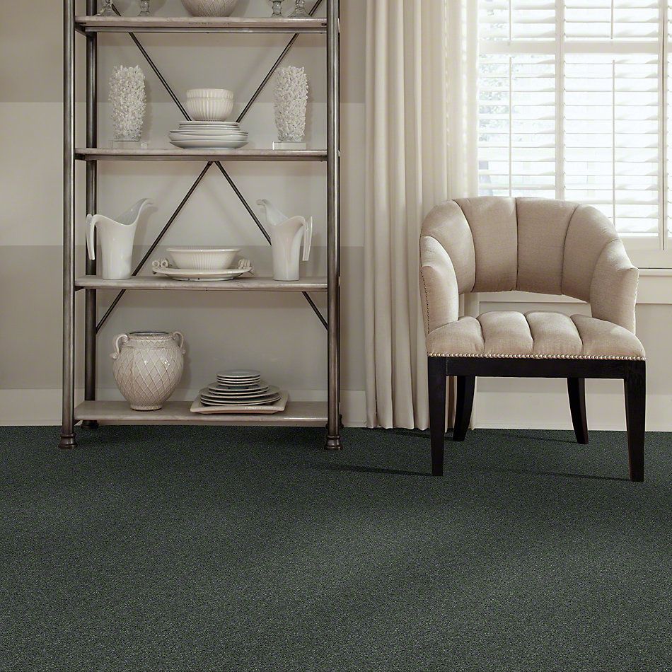 Shaw Floors Caress By Shaw Quiet Comfort Classic Iv Emerald 00324_CCB99