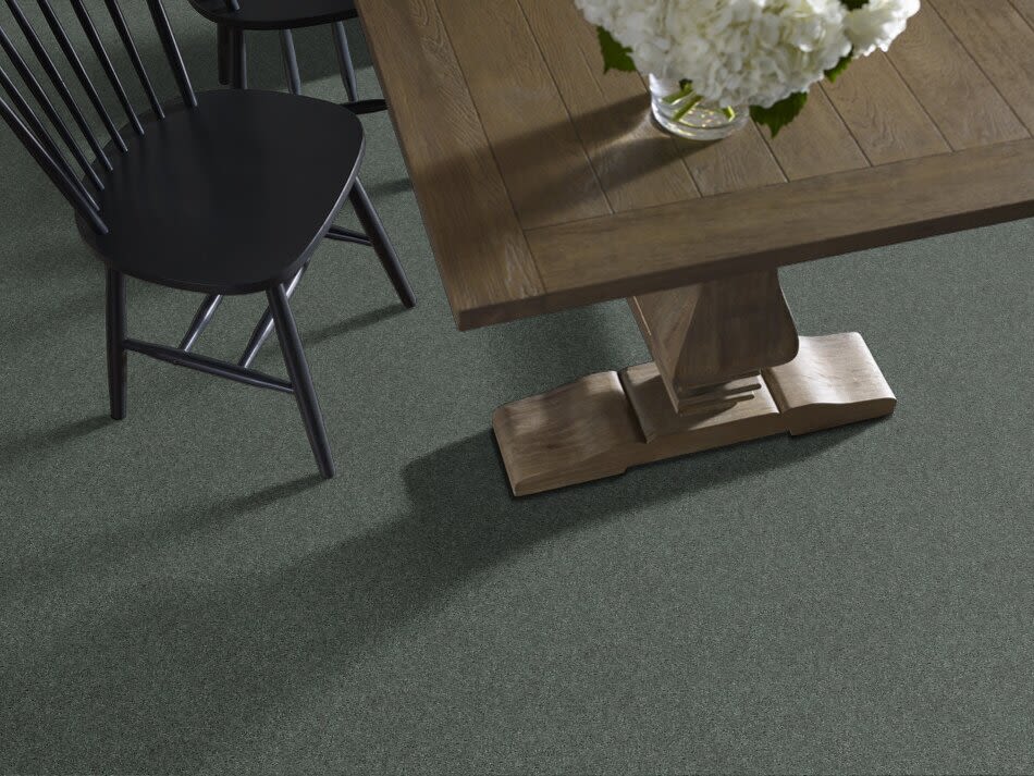Shaw Floors Value Collections Cashmere Classic I Net Emerald 00324_E9922