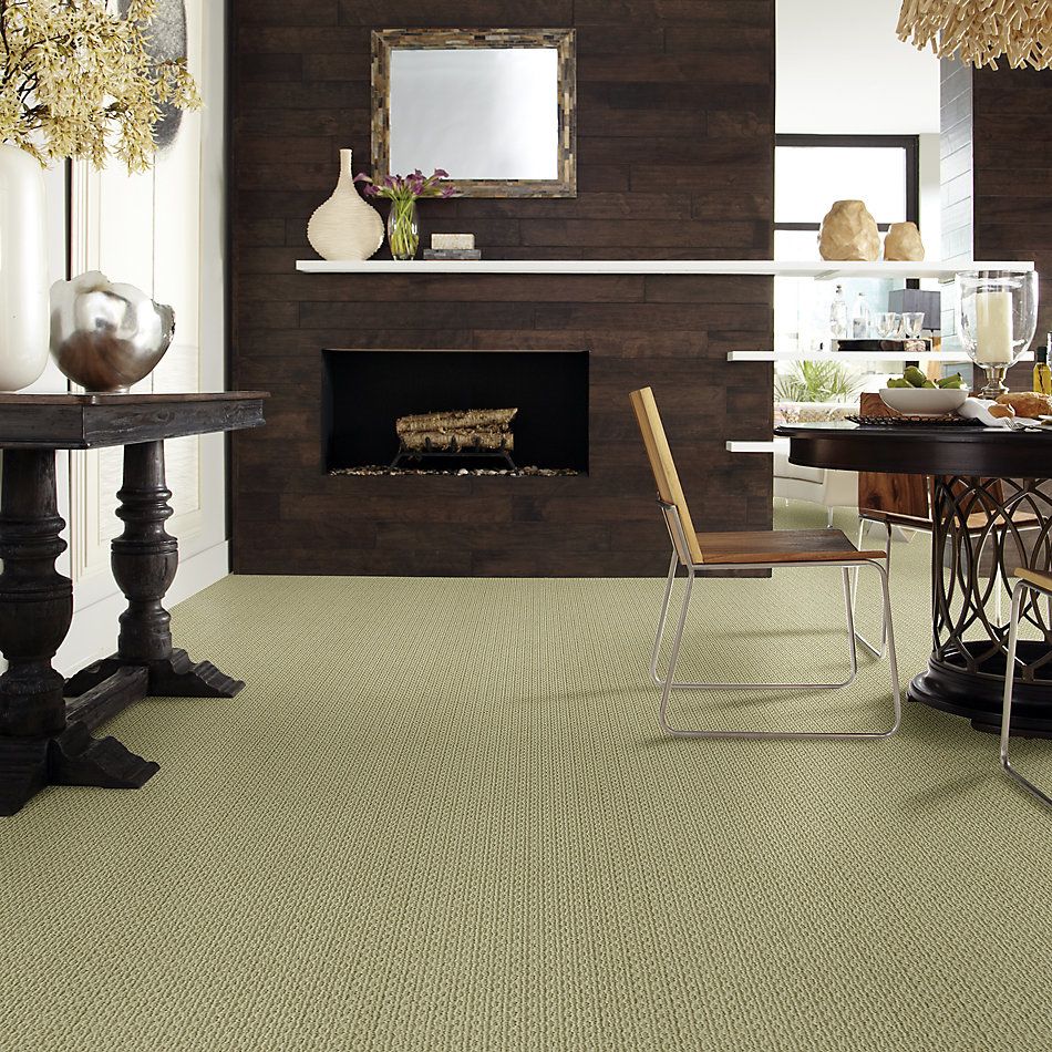 Anderson Tuftex American Home Fashions Proud Design Jasper 00332_ZA883