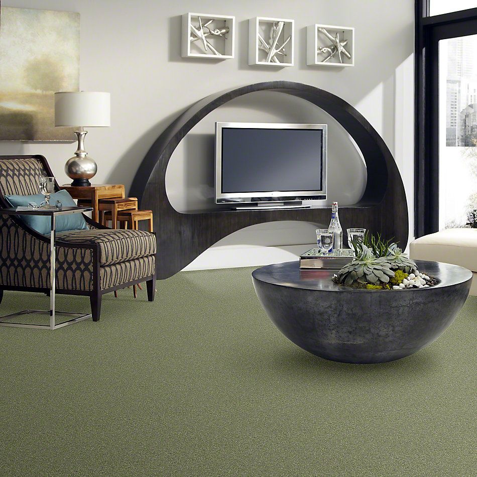 Anderson Tuftex SFA Way Better Applemint 852SF_00333