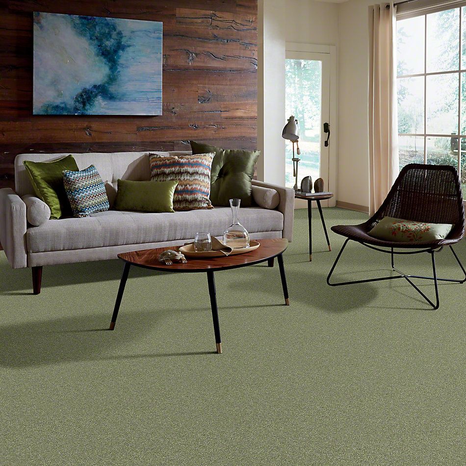 Anderson Tuftex Classics Interlude Applemint 852AG_00333