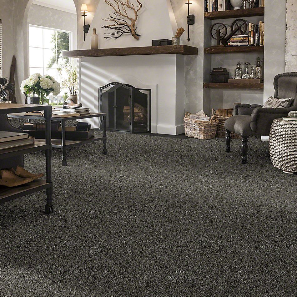 Anderson Tuftex SFA Chastanet II Frond 19SSF_00335
