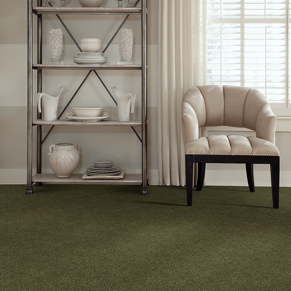 Anderson Tuftex Effortless Days New Willow 00335_865DF