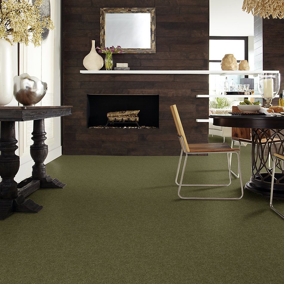 Anderson Tuftex Star Power New Willow 00335_872DF