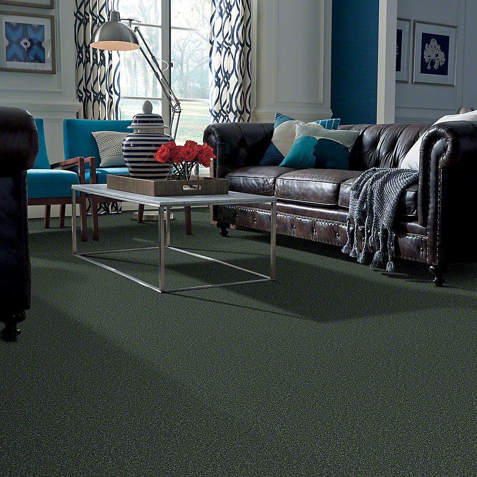 Shaw Floors Full Court 12′ Going Green 52Y46_00340