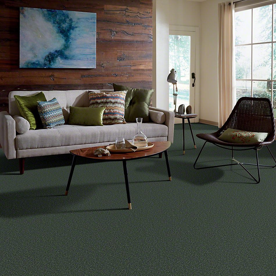 Shaw Floors Full Court 12′ Going Green 52Y46_00340