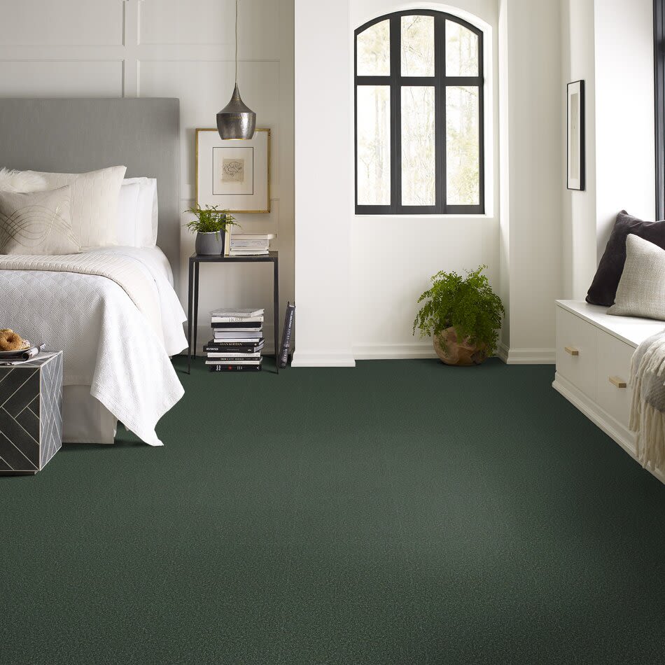Shaw Floors Full Court 15′ Going Green 00340_52Y82