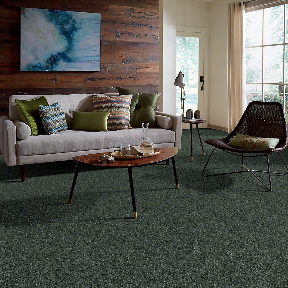 Shaw Floors All Star Weekend I 15′ Going Green 00340_E0141