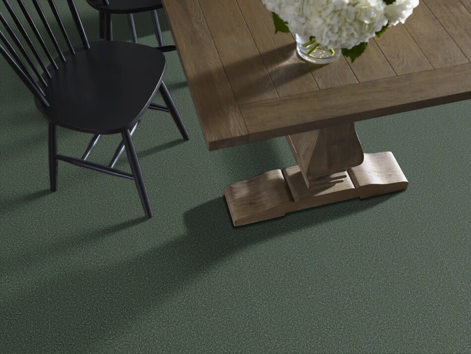 Shaw Floors Value Collections Full Court 15′ Net Going Green 00340_E9270