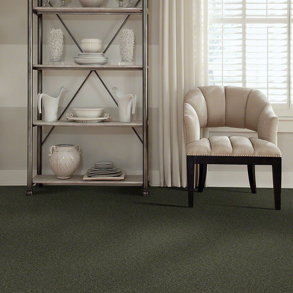 Anderson Tuftex Classics Interlude Bay Leaf 852AG_00345
