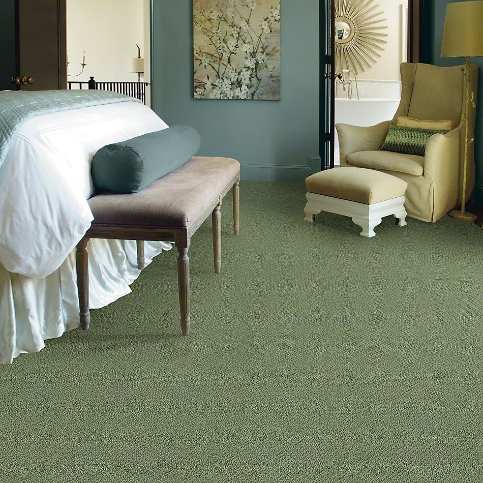 Shaw Floors Truly Relaxed Loop Bay Laurel 00351_E0657