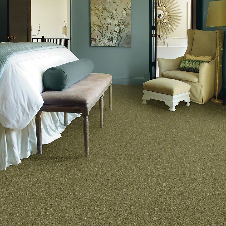 Shaw Floors Foundations Luxuriant Sea Grass 00361_E9253