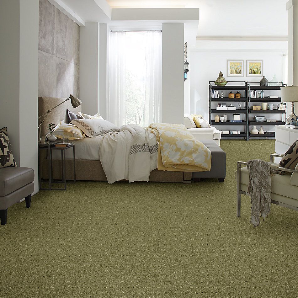 Shaw Floors Nfa Refinement Sea Grass 00361_NA151