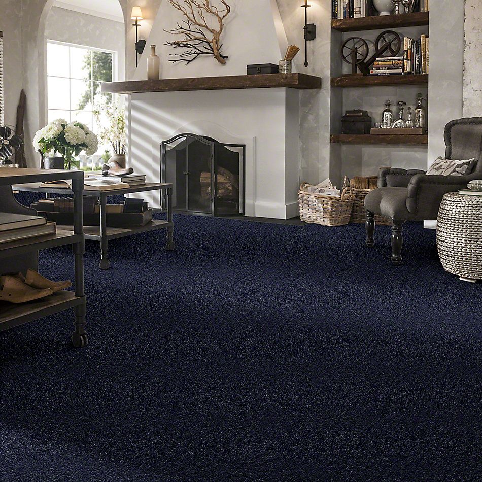 Shaw Floors This Is It Ionosphere 00400_52E51