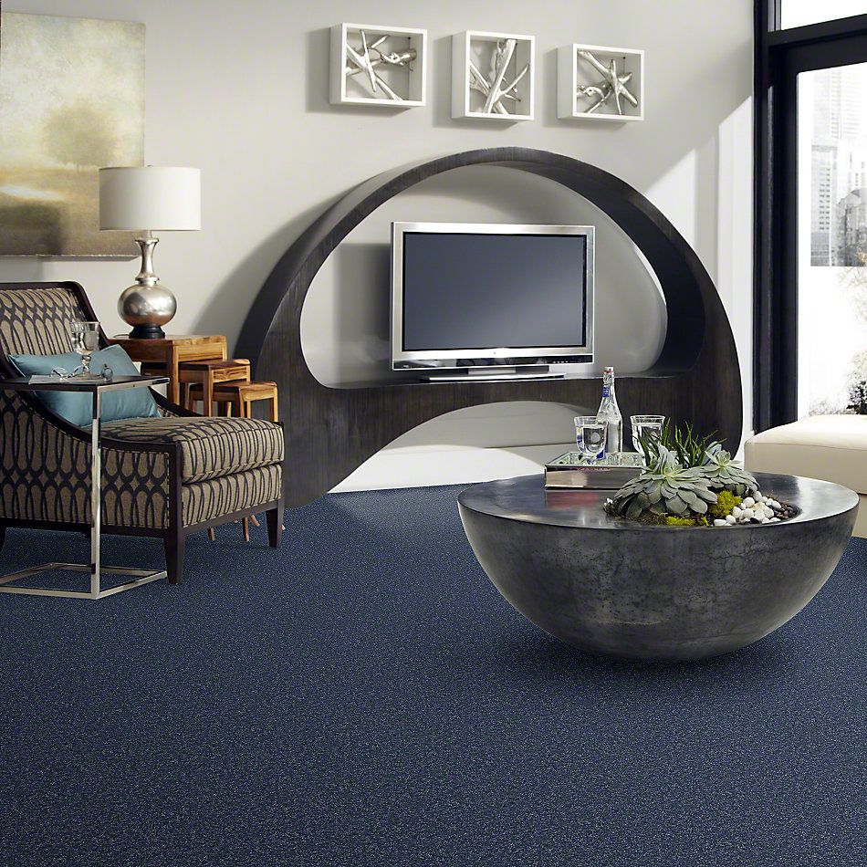 Shaw Floors Full Court 15′ Castaway 52Y82_00400