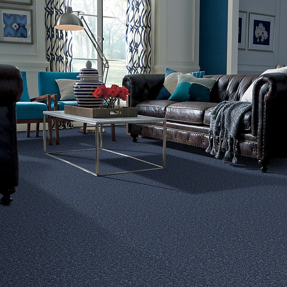 Shaw Floors Full Court 15′ Castaway 52Y82_00400