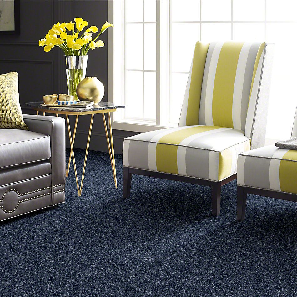 Shaw Floors Full Court 15′ Castaway 52Y82_00400