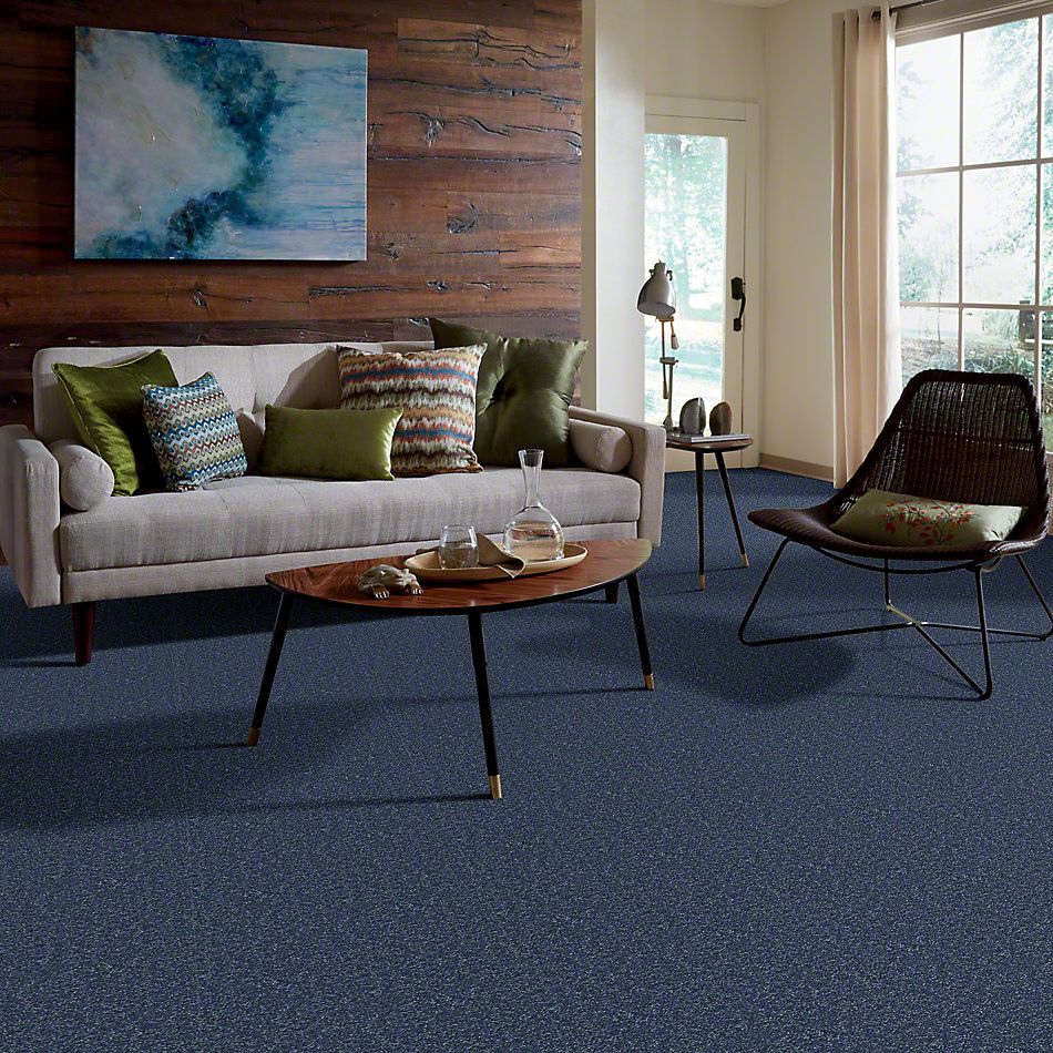 Shaw Floors Shaw Flooring Gallery Union City II 15′ Castaway 00400_5304G