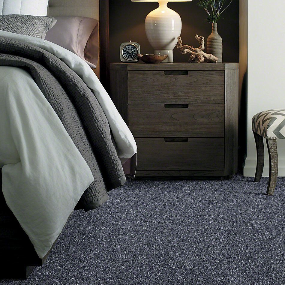 Shaw Floors Shaw Flooring Gallery Premier Role North Shore 00400_5571G
