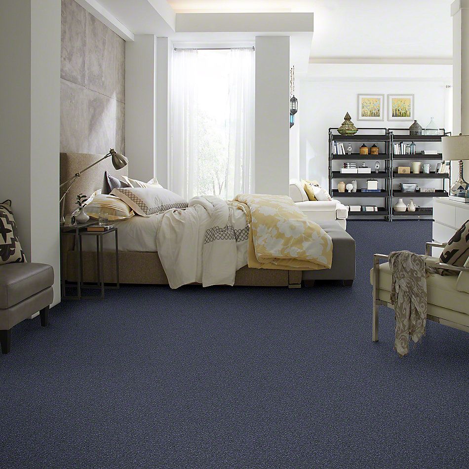 Shaw Floors Value Collections That’s Right Net St. Lucia Skies 00400_E0925