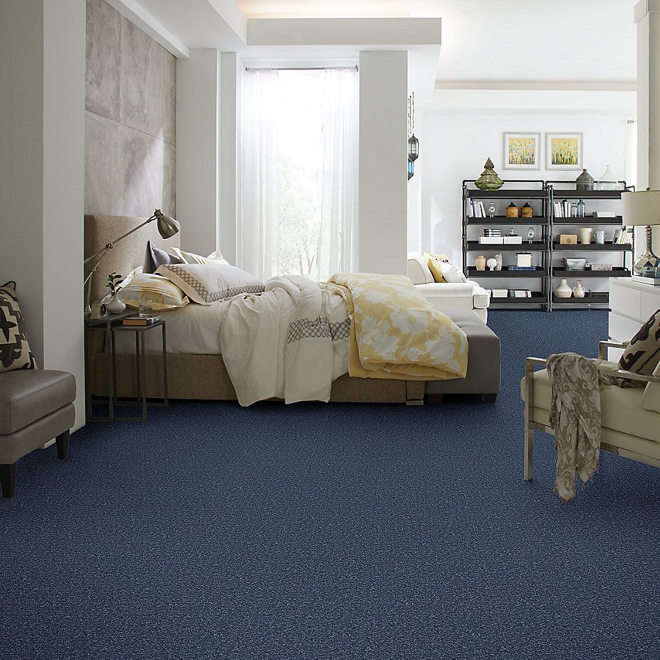 Shaw Floors Value Collections Full Court 15′ Net Castaway 00400_E9270