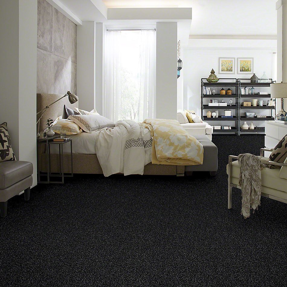 Shaw Floors Value Collections Because We Can I 12′ Net Under Water 00400_E9312