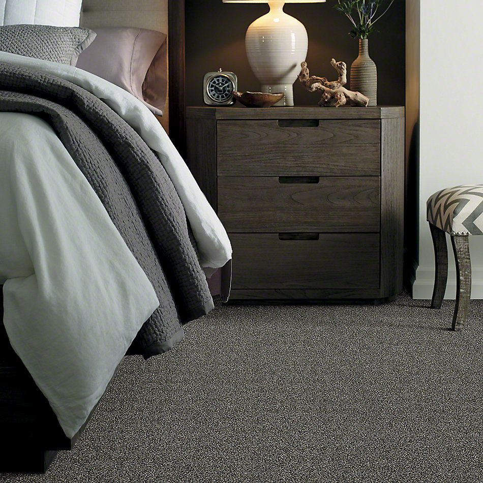 Shaw Floors Simply The Best Of Course We Can I 15′ Marina 00400_E9422