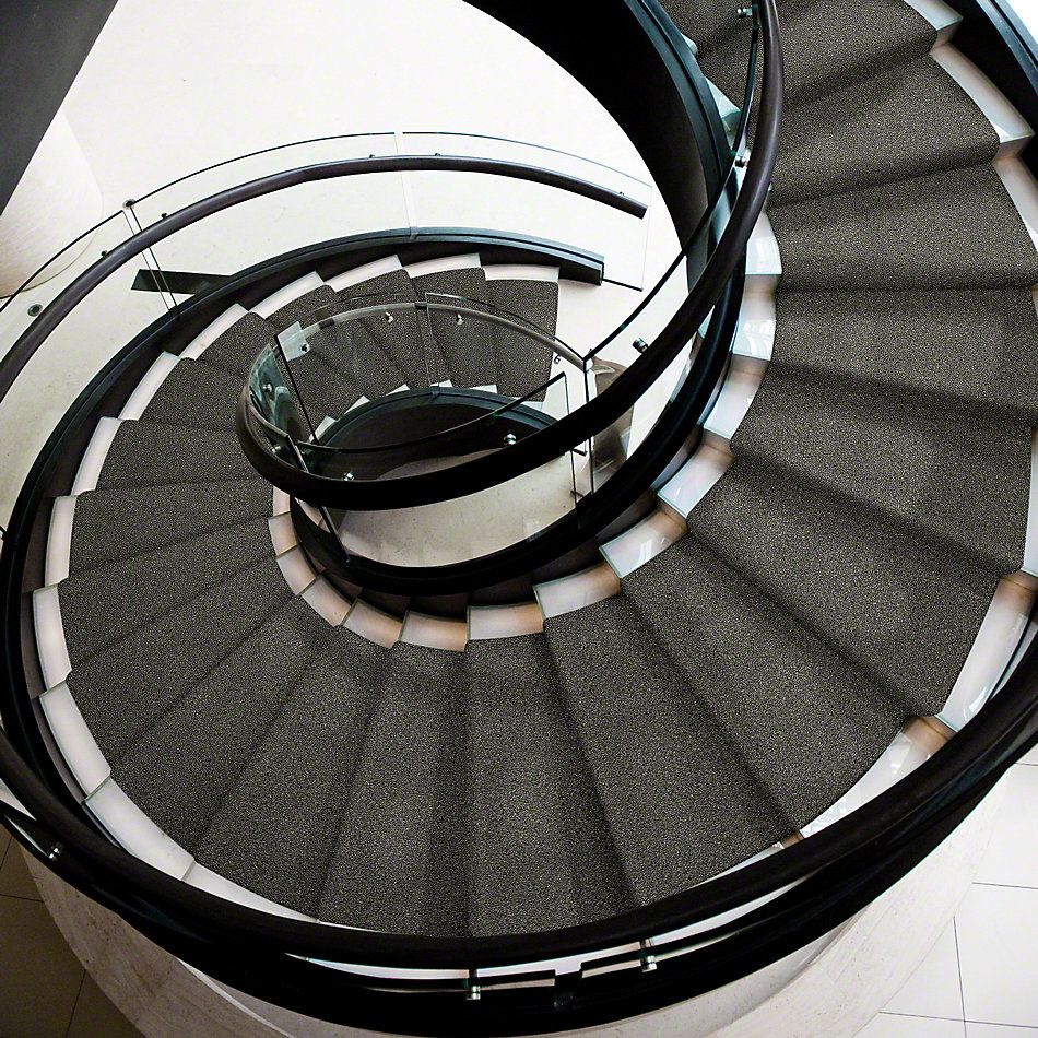 Shaw Floors Simply The Best Of Course We Can II 15′ Marina 00400_E9424