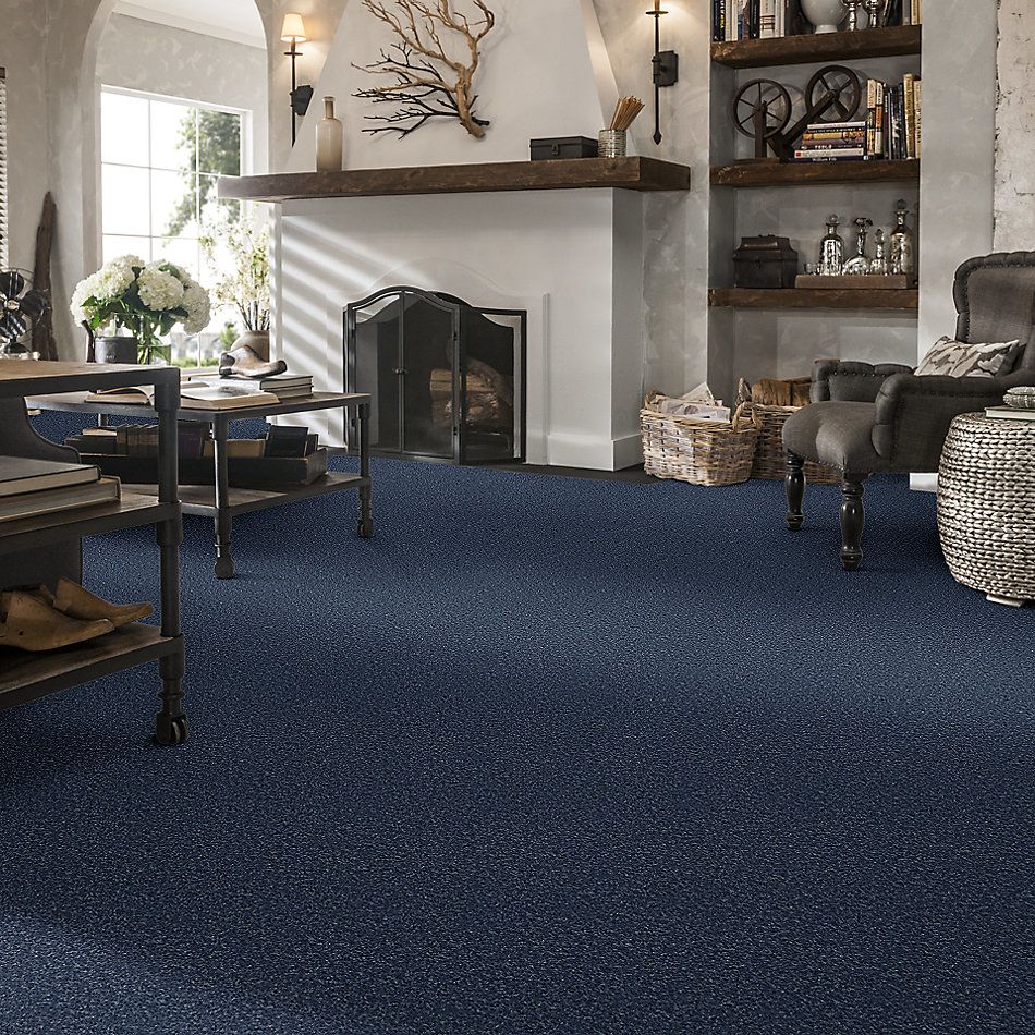 Shaw Floors Roll Special Xv864 Castaway 00400_XV864