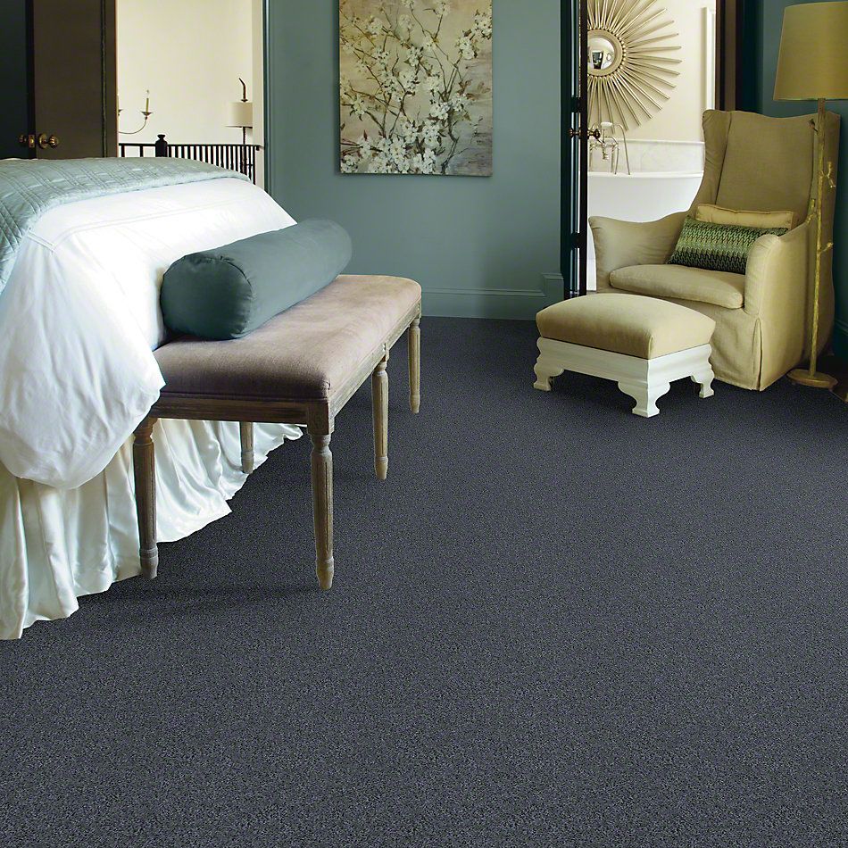 Shaw Floors Value Collections Well Played II 15′ Net Pacific 00401_E0848