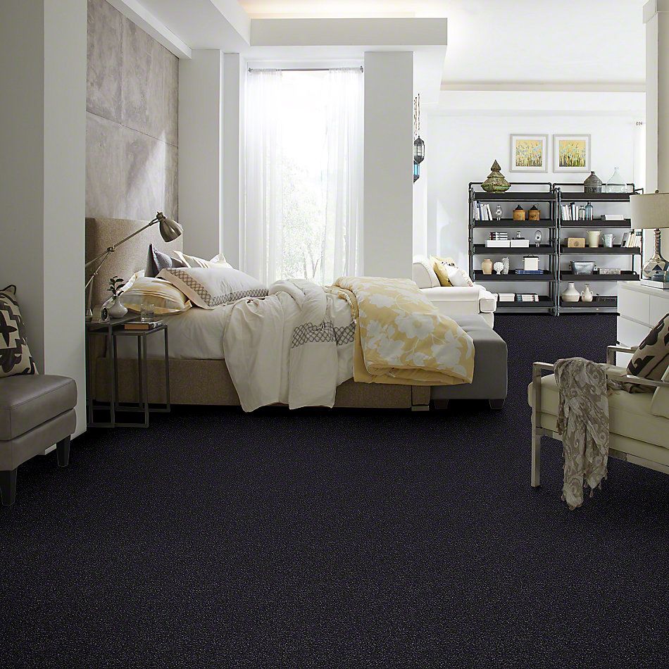 Shaw Floors Value Collections Majority Rules Net Stunning Navy 00401_E9126