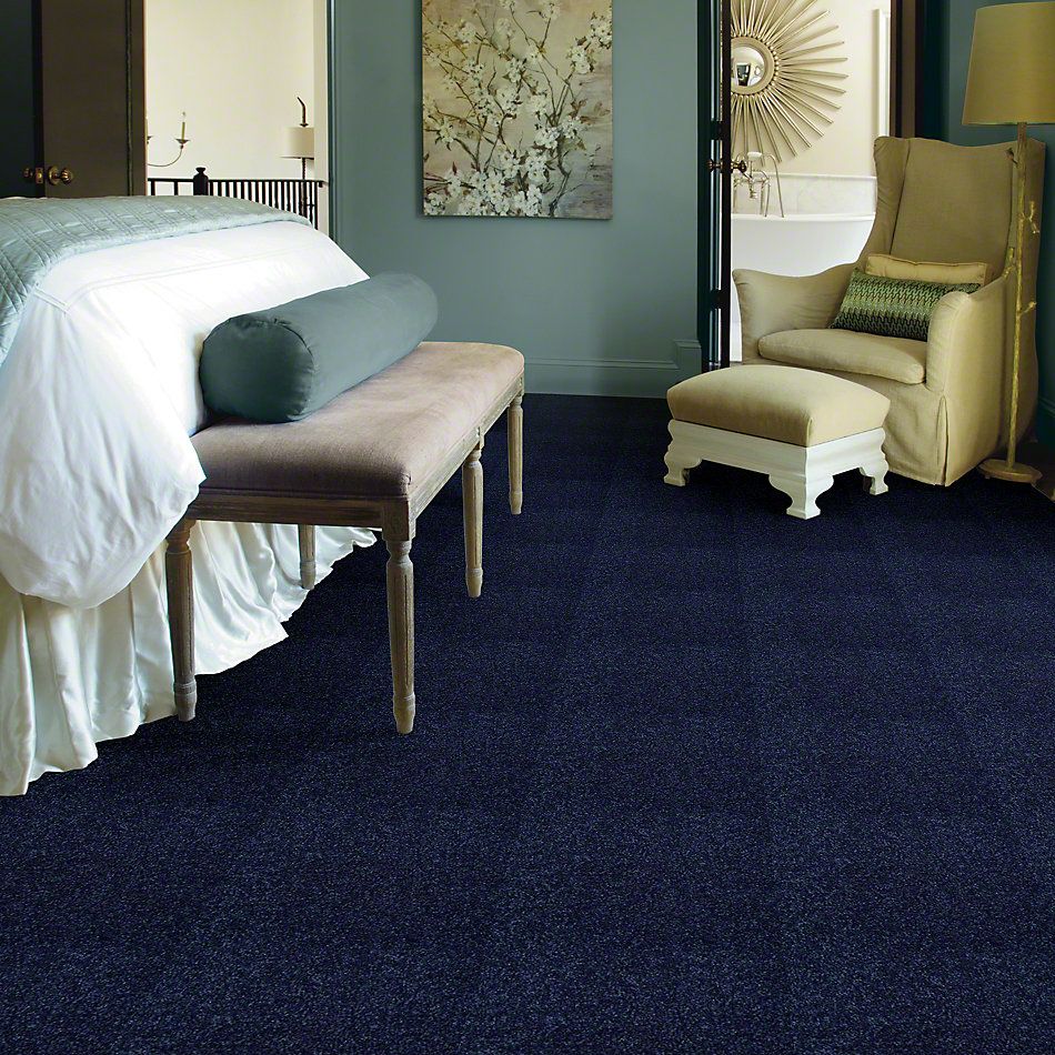 Shaw Floors Town Creek I 15′ Cadet 52V12_00402