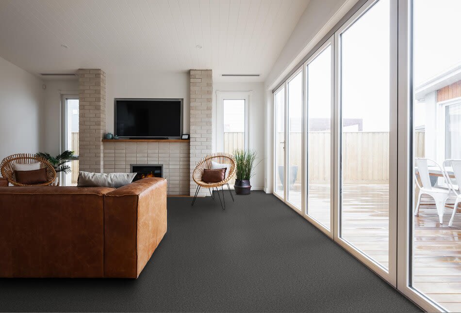 Shaw Floors Pet Perfect Plus Artistic Fusion I Net Refined 00402_5E610