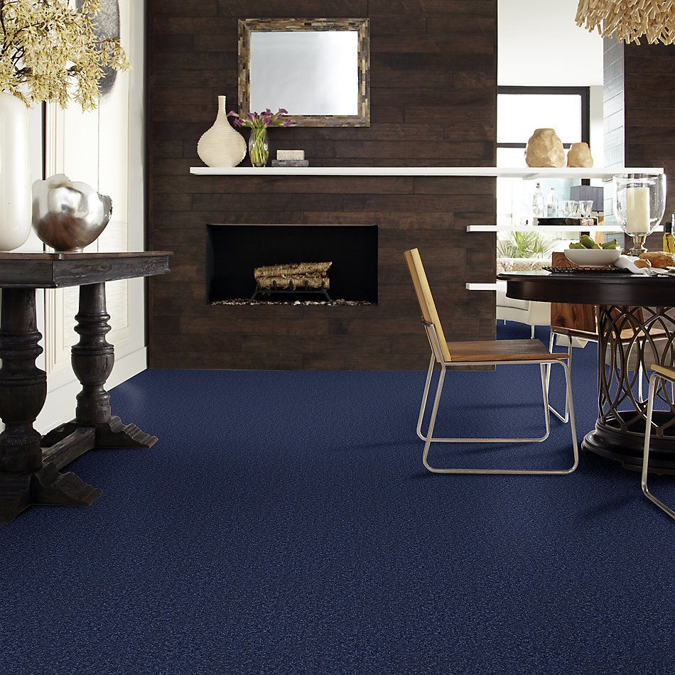 Shaw Floors Value Collections Passageway I 15 Net Cadet 00402_E9620