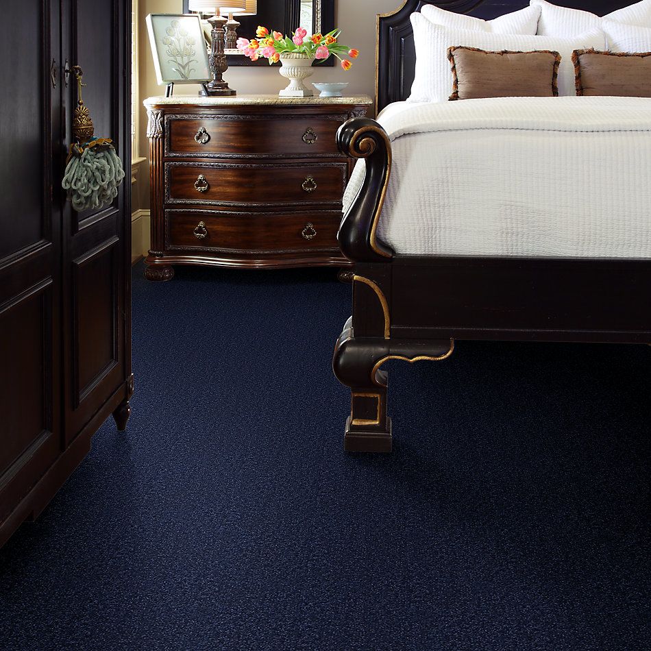 Shaw Floors Value Collections Passageway I 15 Net Cadet 00402_E9620