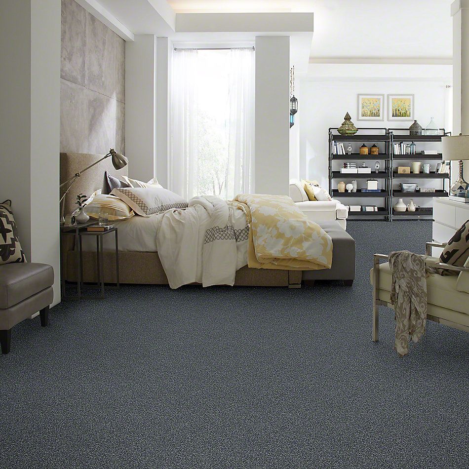 Shaw Floors Bellera Points Of Color I Denim 00402_E9642