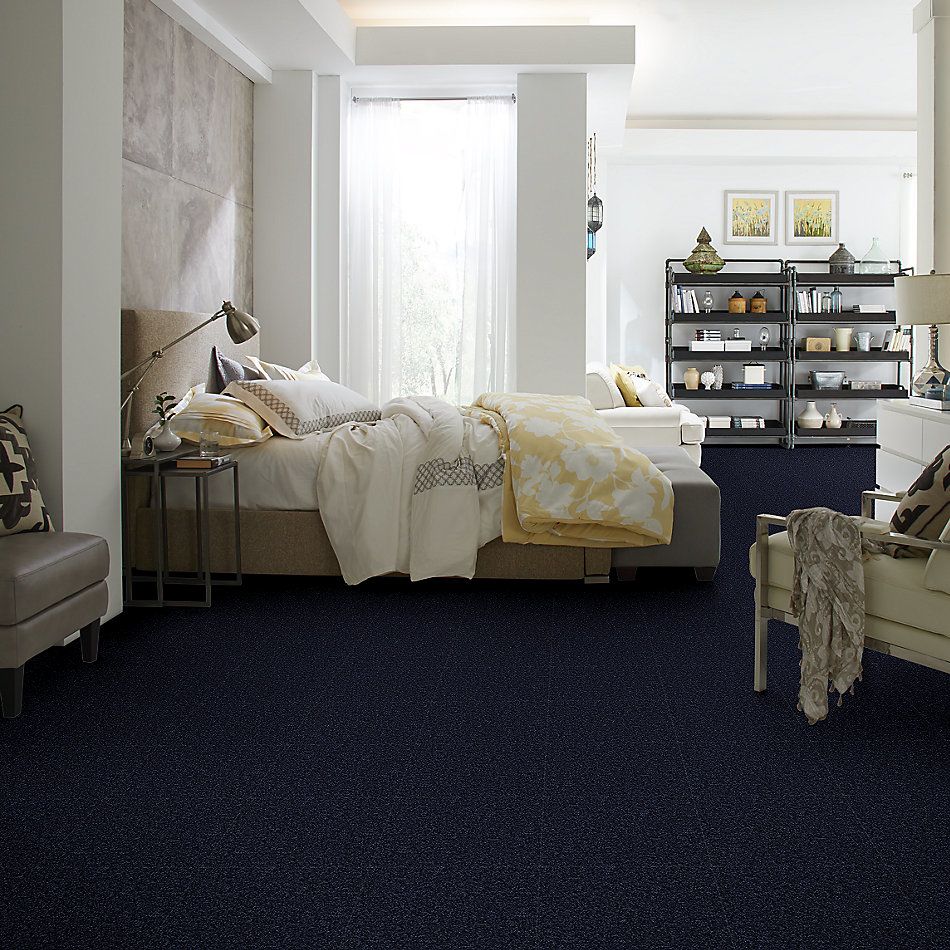 Shaw Floors Value Collections Full Court 15′ Net Evening Sky 00403_E9270