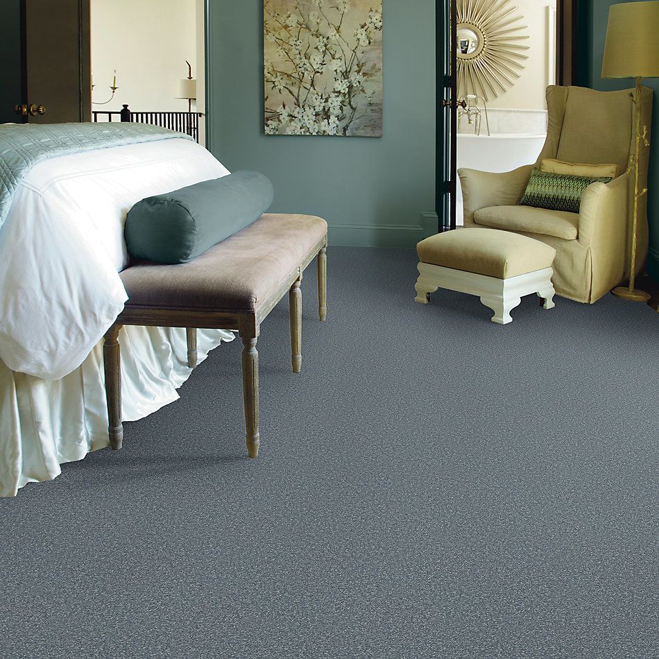 Shaw Floors Value Collections Passageway II 15 Net Tranquility 00405_E9621