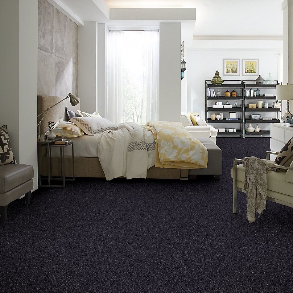 Shaw Floors Value Collections Passageway II 15 Net Midnight Sky 00407_E9621